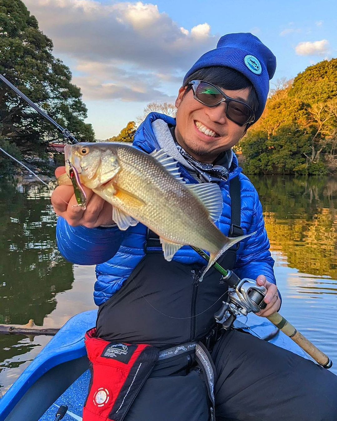 Fat Bass in Japan